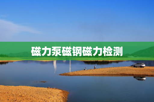 磁力泵磁钢磁力检测