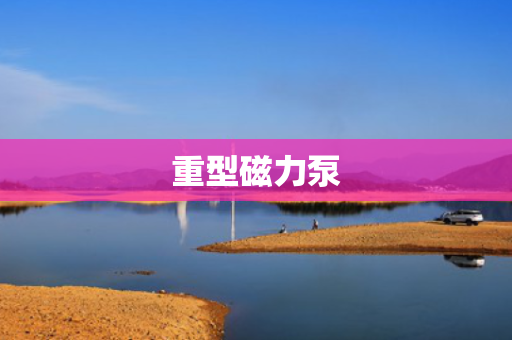 重型磁力泵 重型磁力泵