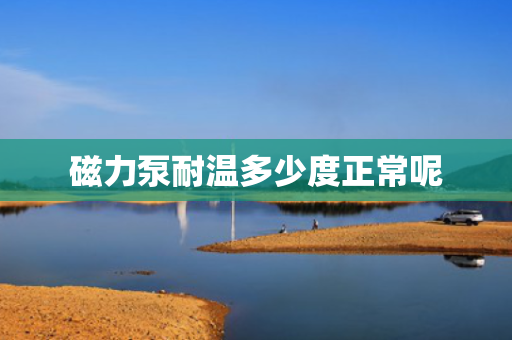 磁力泵耐温多少度正常呢