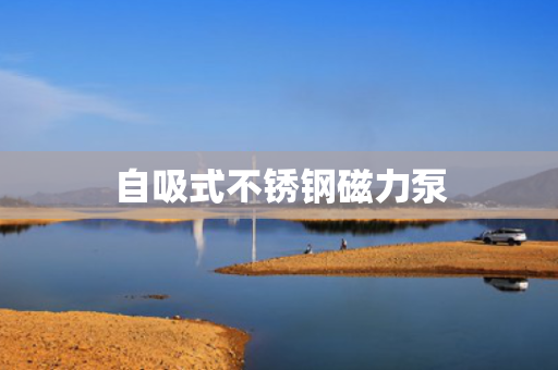 自吸式不锈钢磁力泵