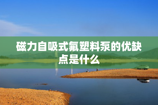 磁力自吸式氟塑料泵的优缺点是什么