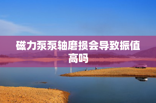 磁力泵泵轴磨损会导致振值高吗