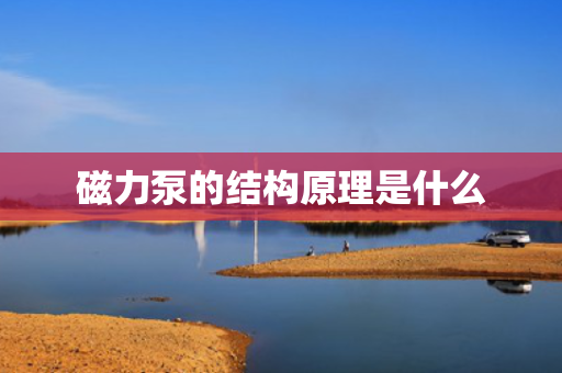 磁力泵的结构原理是什么