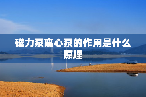 磁力泵离心泵的作用是什么原理