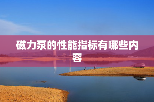 磁力泵的性能指标有哪些内容