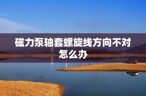 磁力泵轴套螺旋线方向不对怎么办