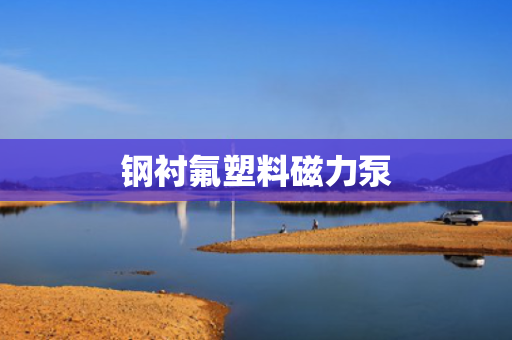 钢衬氟塑料磁力泵