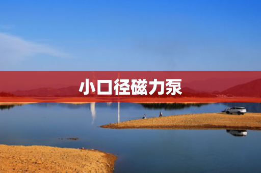 小口径磁力泵 小口径磁力泵