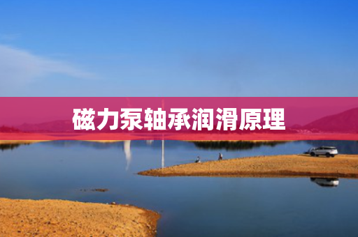 磁力泵轴承润滑原理