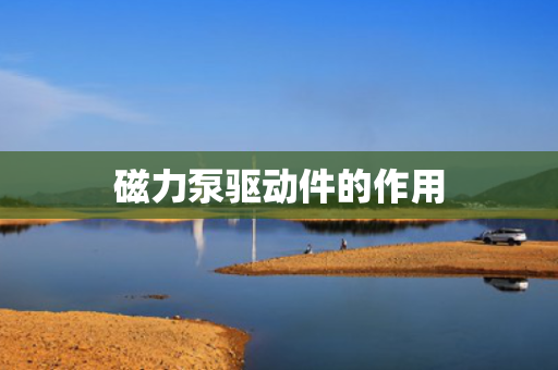 磁力泵驱动件的作用