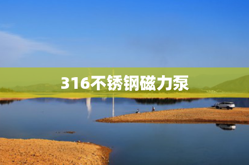 316不锈钢磁力泵