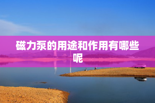 磁力泵的用途和作用有哪些呢