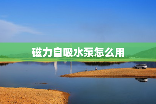 磁力自吸水泵怎么用