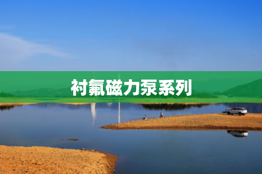 衬氟磁力泵系列