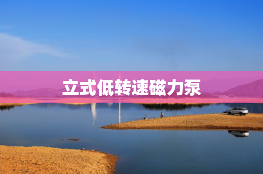 立式低转速磁力泵