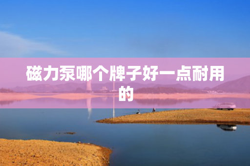 磁力泵哪个牌子好一点耐用的