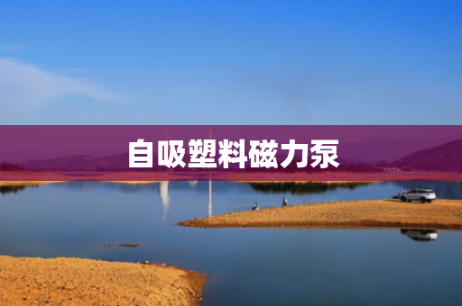 自吸塑料磁力泵