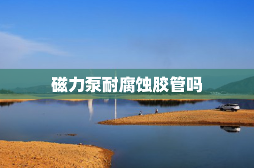 磁力泵耐腐蚀胶管吗