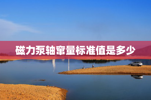 磁力泵轴窜量标准值是多少