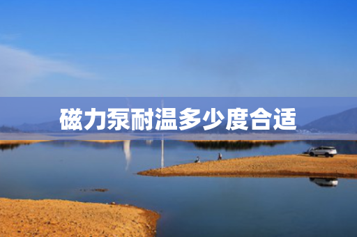 磁力泵耐温多少度合适