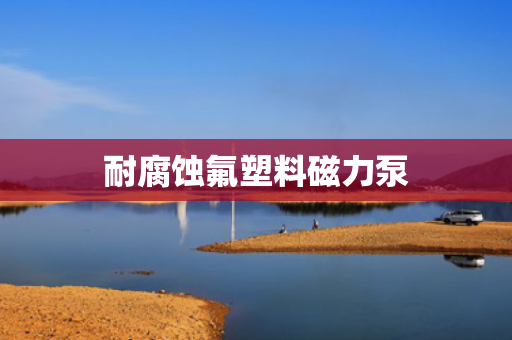 耐腐蚀氟塑料磁力泵