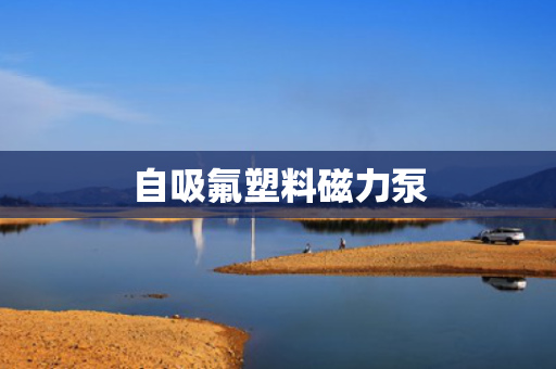 自吸氟塑料磁力泵