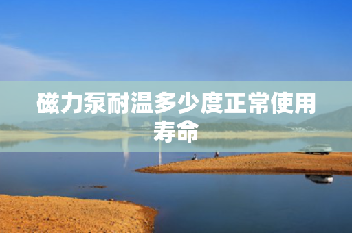 磁力泵耐温多少度正常使用寿命