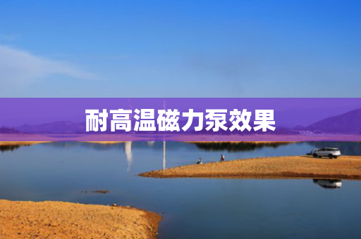 耐高温磁力泵效果