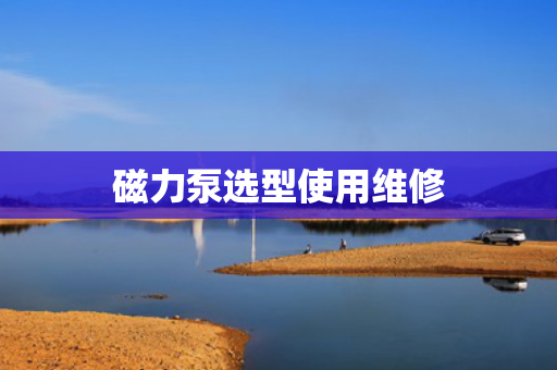 磁力泵选型使用维修