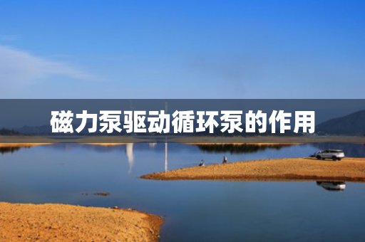 磁力泵驱动循环泵的作用