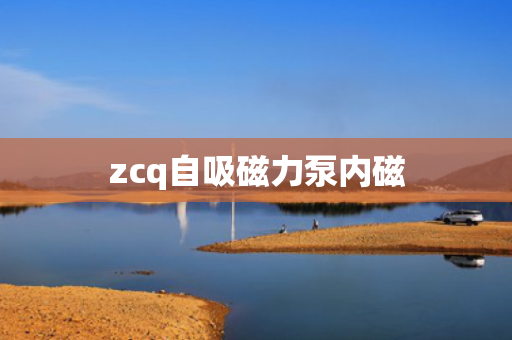 zcq自吸磁力泵内磁
