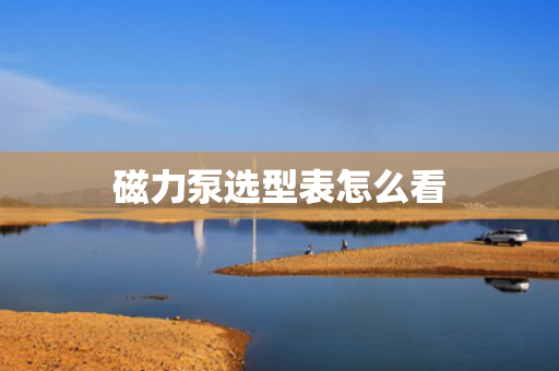 磁力泵选型表怎么看