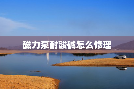 磁力泵耐酸碱怎么修理