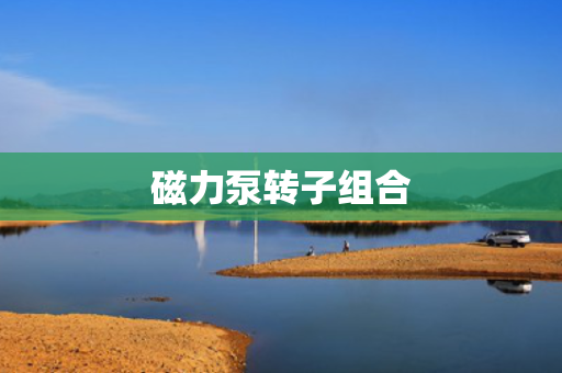 磁力泵转子组合