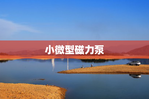 小微型磁力泵 小微型磁力泵