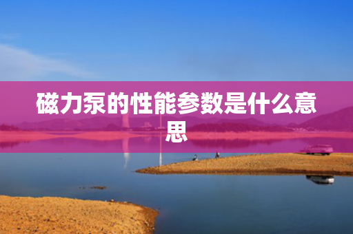 磁力泵的性能参数是什么意思