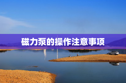 磁力泵的操作注意事项