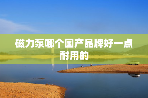 磁力泵哪个国产品牌好一点耐用的