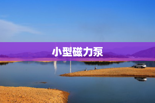 小型磁力泵 小型磁力泵