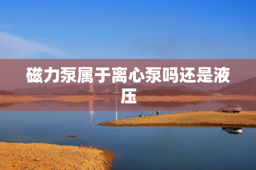 磁力泵属于离心泵吗还是液压