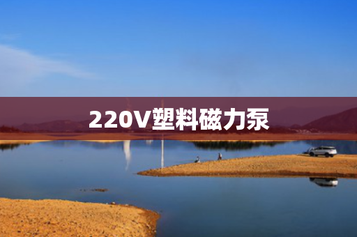 220V塑料磁力泵