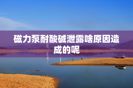 磁力泵耐酸碱泄露啥原因造成的呢