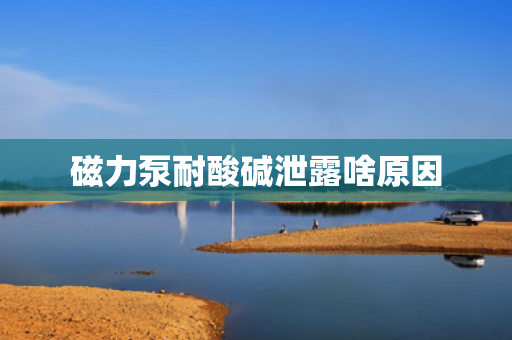 磁力泵耐酸碱泄露啥原因