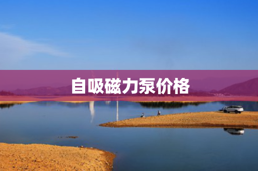 自吸磁力泵价格