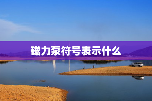 磁力泵符号表示什么