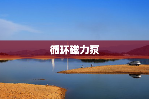 循环磁力泵 循环磁力泵