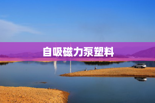 自吸磁力泵塑料