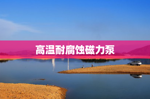 高温耐腐蚀磁力泵