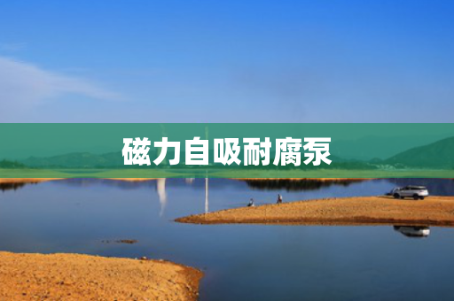 磁力自吸耐腐泵 磁力自吸耐腐泵