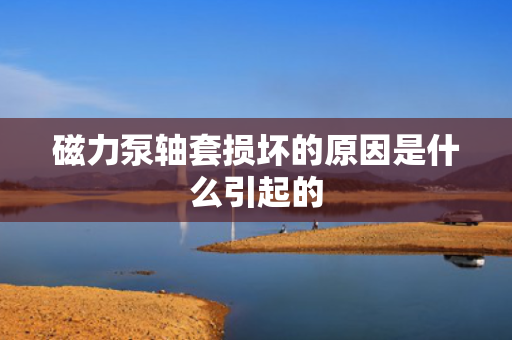 磁力泵轴套损坏的原因是什么引起的